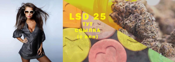ГАЛЛЮЦИНОГЕННЫЕ ГРИБЫ Бородино