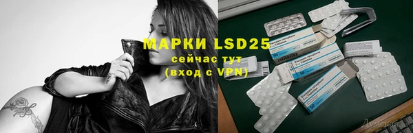 ГАЛЛЮЦИНОГЕННЫЕ ГРИБЫ Бородино