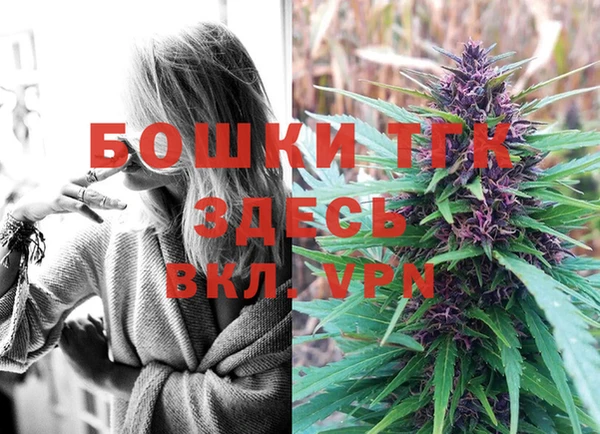ГАЛЛЮЦИНОГЕННЫЕ ГРИБЫ Бородино