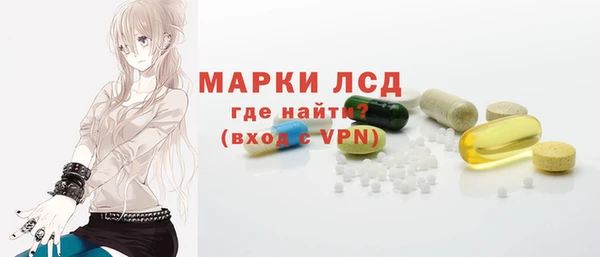 ГАЛЛЮЦИНОГЕННЫЕ ГРИБЫ Бородино