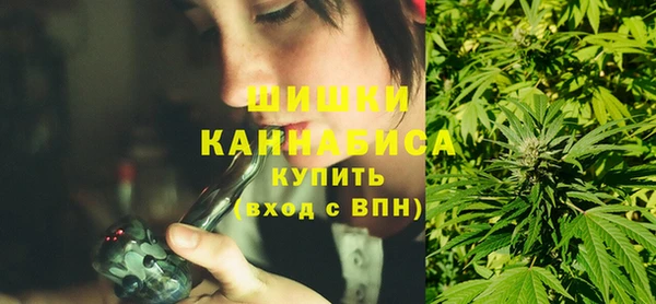 ГАЛЛЮЦИНОГЕННЫЕ ГРИБЫ Бородино
