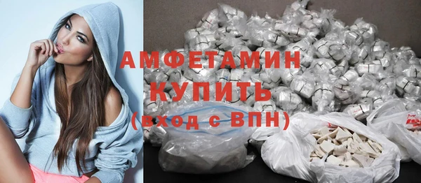 ГАЛЛЮЦИНОГЕННЫЕ ГРИБЫ Бородино