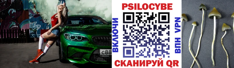 купить наркотик  Нижнекамск  kraken зеркало  Псилоцибиновые грибы Magic Shrooms 